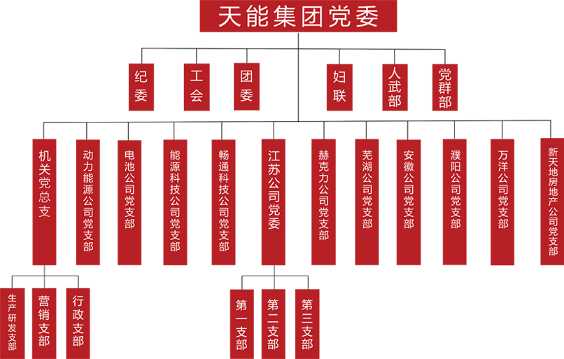 不朽情缘官方网站建团党委组织架构